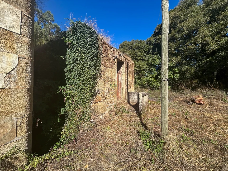 Quinta T0 para Venda em Capinha Foto 47