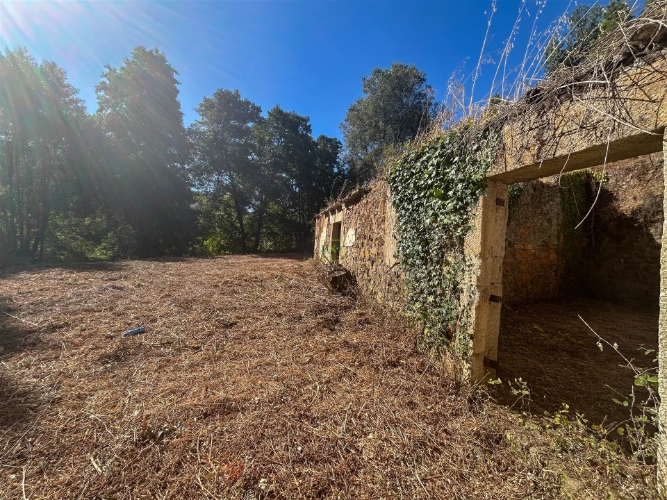 Quinta T0 para Venda em Capinha Foto 42