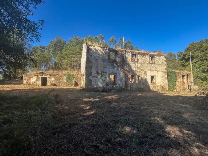 Quinta T0 para Venda em Capinha Foto 43