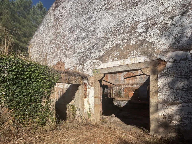 Quinta T0 para Venda em Capinha Foto 23