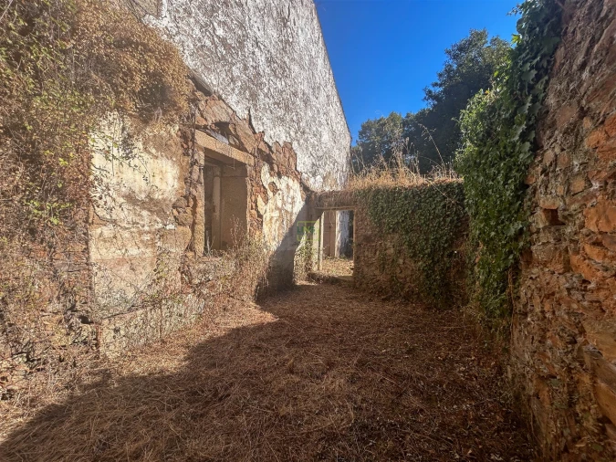 Quinta T0 para Venda em Capinha Foto 24