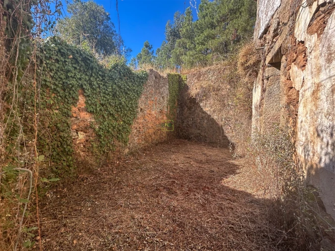 Quinta T0 para Venda em Capinha Foto 13