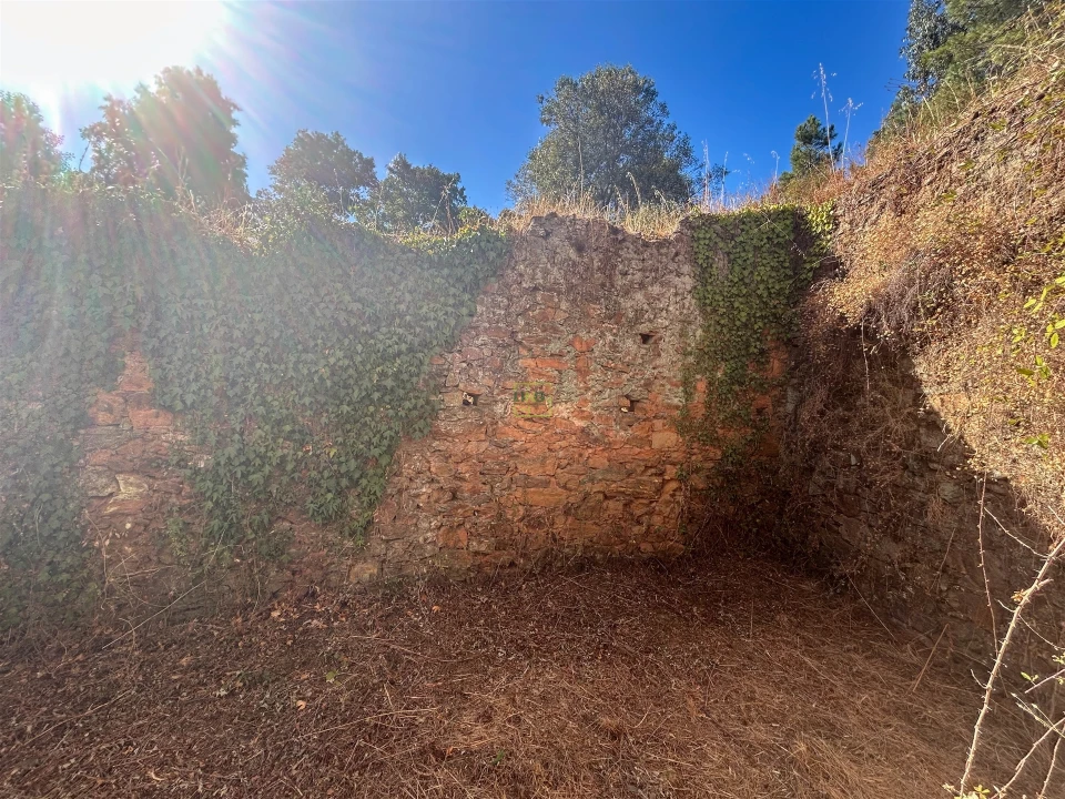 Quinta T0 para Venda em Capinha Foto 37