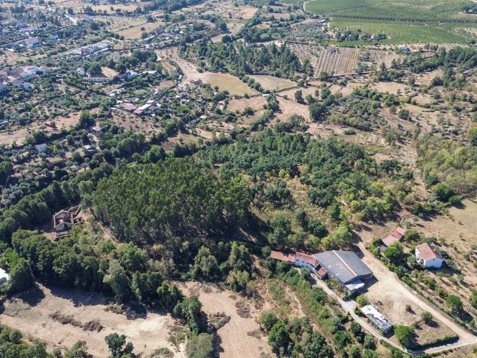 Quinta T0 para Venda em Capinha Foto 63