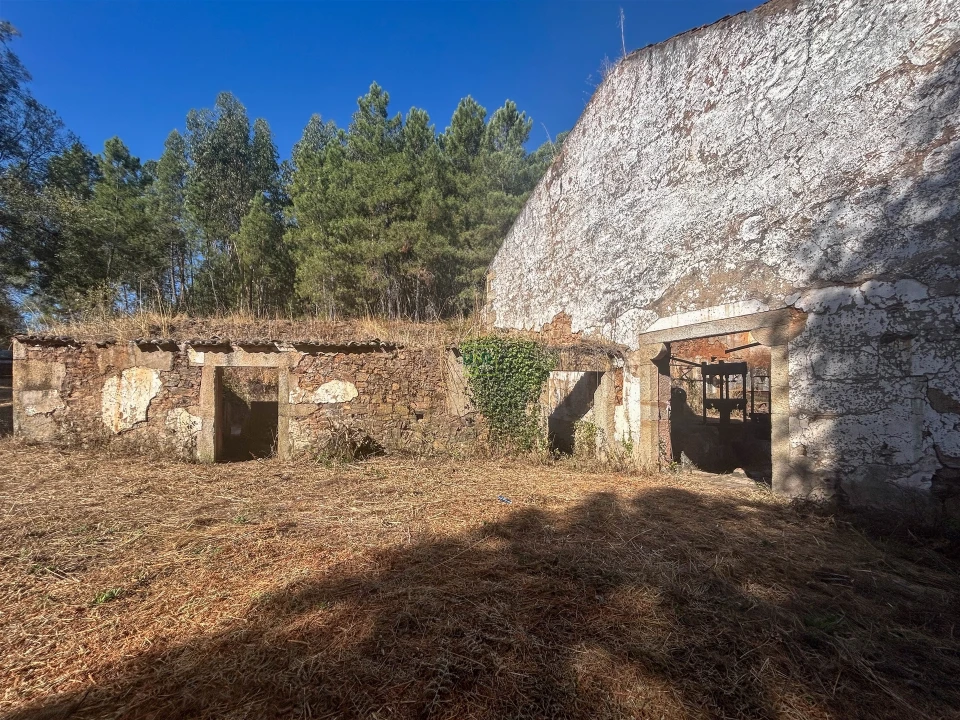 Quinta T0 para Venda em Capinha Foto 19