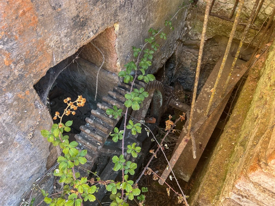 Quinta T0 para Venda em Capinha Foto 31