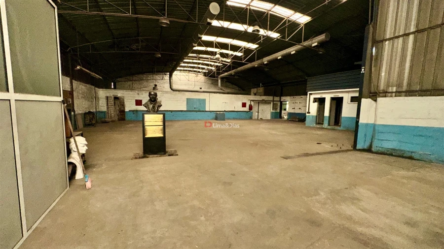 Negócio para Venda em Oliveira do Douro Foto 3