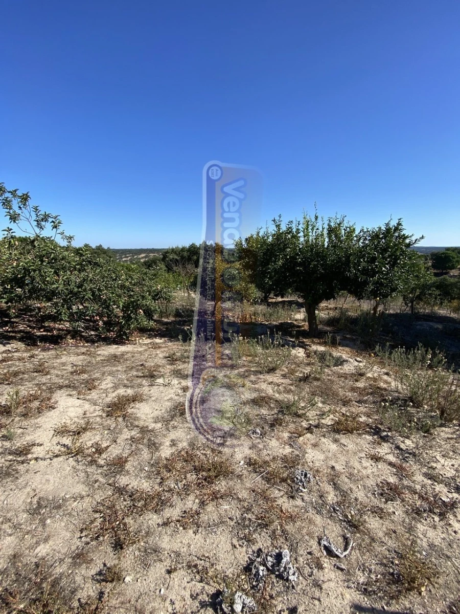 Armazém para Venda em Brotas Foto 12