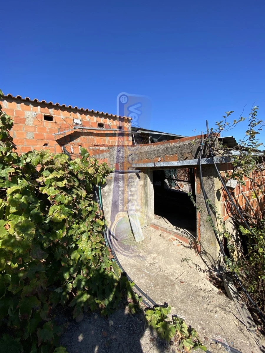 Armazém para Venda em Brotas Foto 5