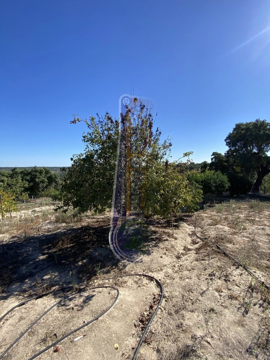 Armazém para Venda em Brotas Foto 15