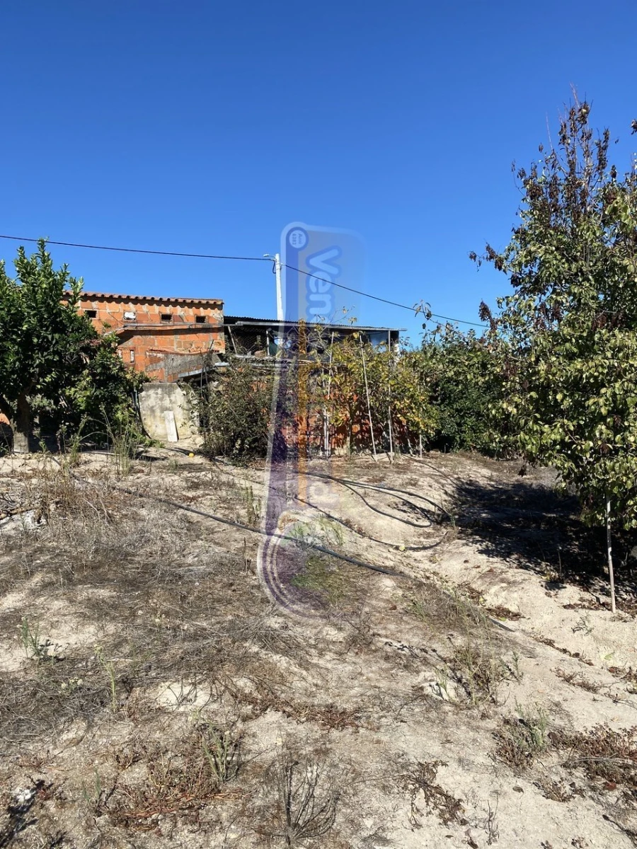 Armazém para Venda em Brotas Foto 3