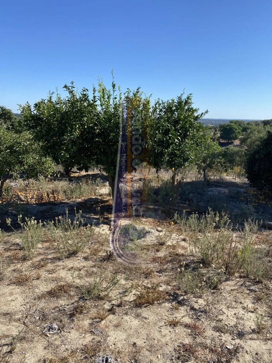 Armazém para Venda em Brotas Foto 13