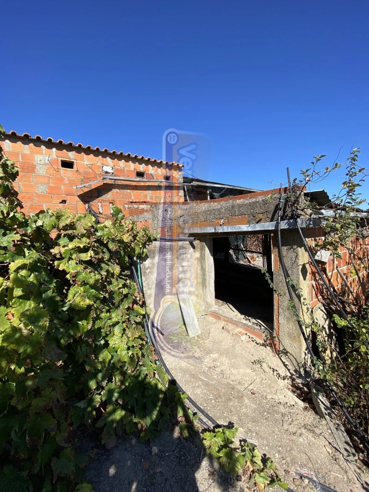 Armazém para Venda em Brotas Foto 5