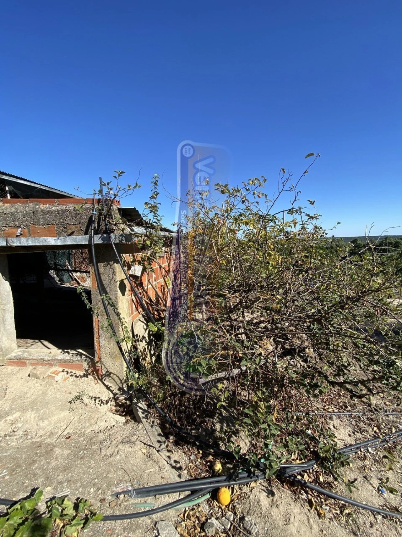 Armazém para Venda em Brotas Foto 4