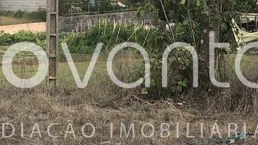 Terreno para Venda em Colmeias e Memória