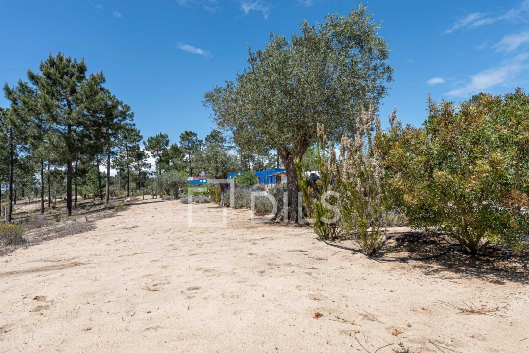 Terreno para Venda em Carvalhal Foto 10