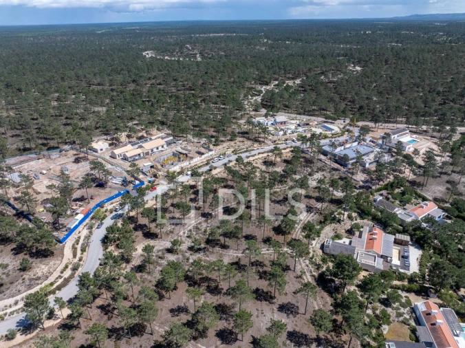 Terreno para Venda em Carvalhal Foto 5