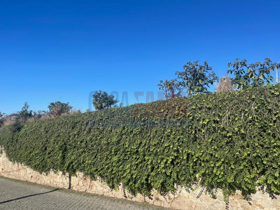 Terreno para Venda em Retorta e Tougues Foto 16