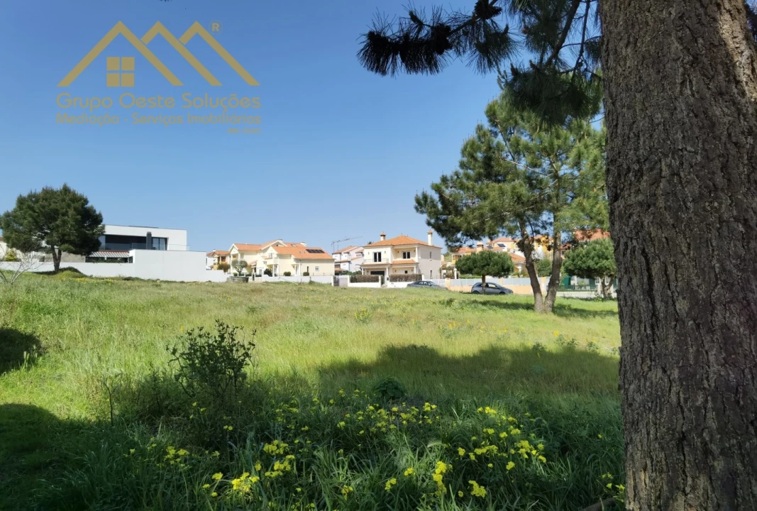 Terreno para Venda em Silveira Foto 5