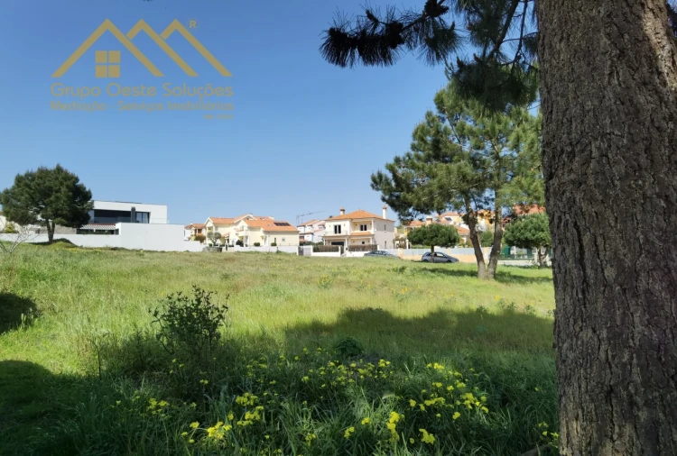 Terreno para Venda em Silveira Foto 5