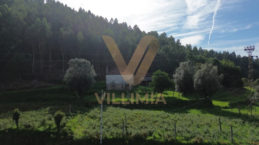 Terreno para Venda em Cabração e Moreira do Lima Foto 6