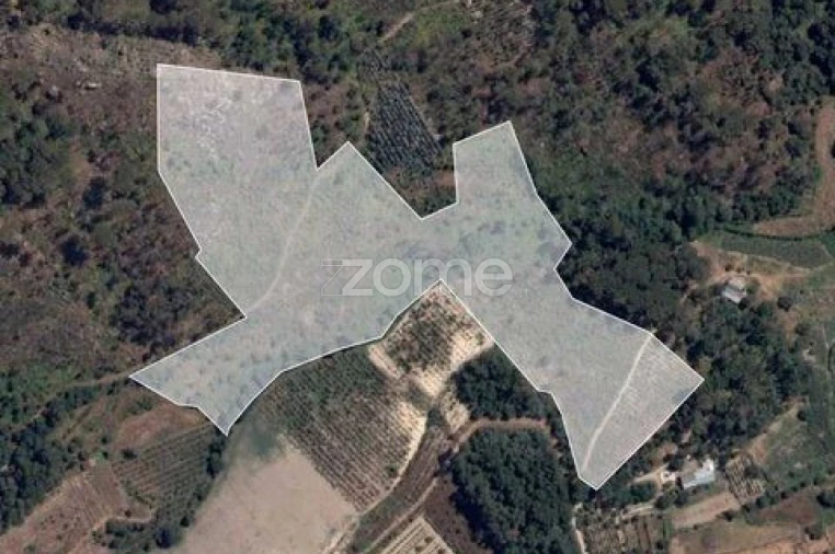 Terreno para Venda em Silgueiros Foto 1