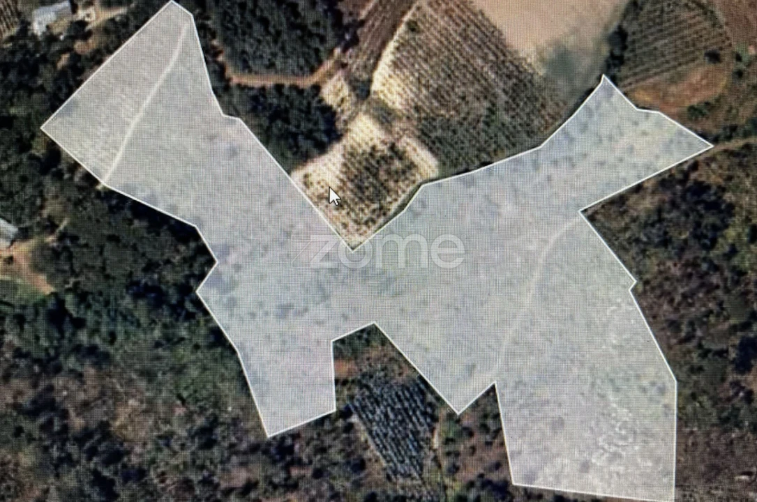 Terreno para Venda em Silgueiros Foto 2