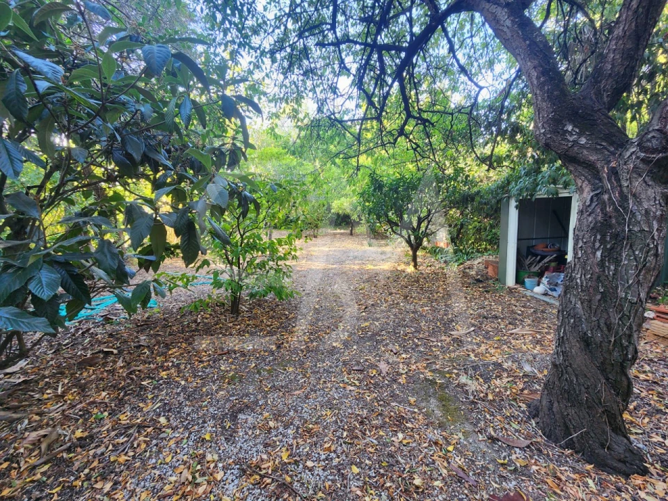 Terreno para Venda em Carcavelos e Parede Foto 5