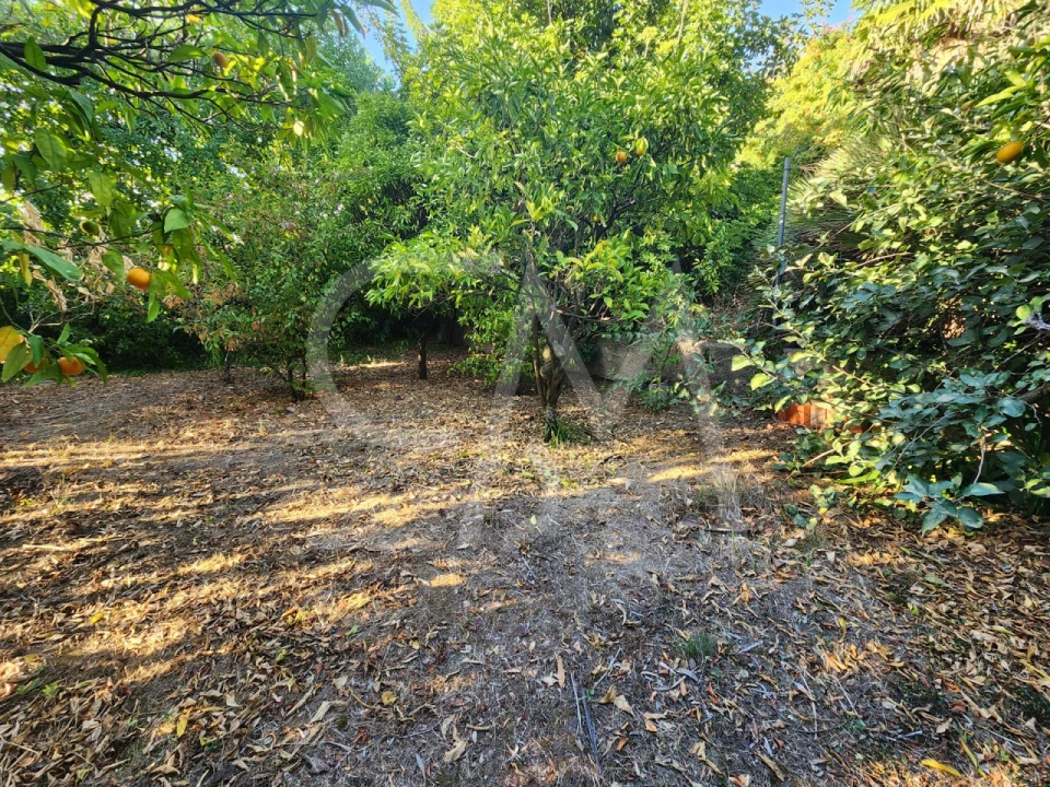 Terreno para Venda em Carcavelos e Parede Foto 6
