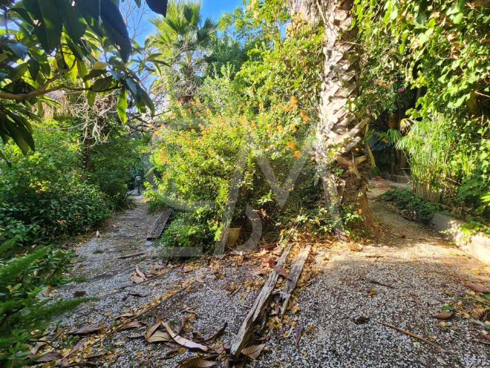 Terreno para Venda em Carcavelos e Parede Foto 9