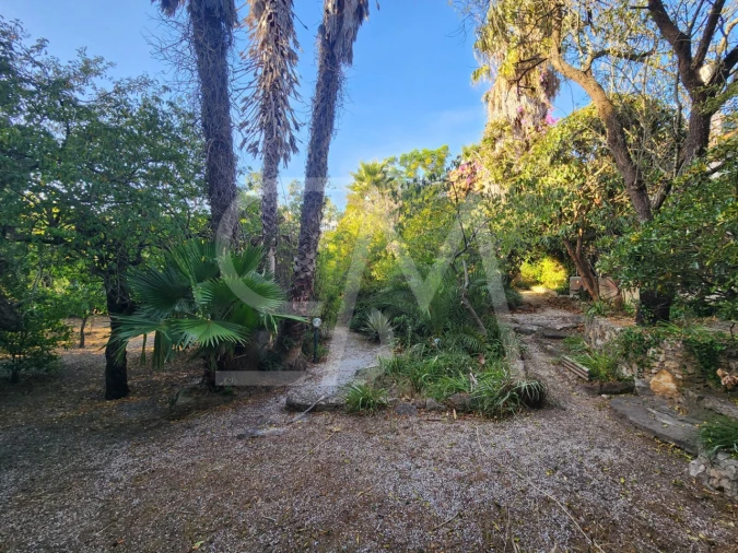Terreno para Venda em Carcavelos e Parede Foto 4
