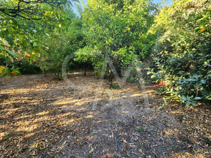 Terreno para Venda em Carcavelos e Parede Foto 6