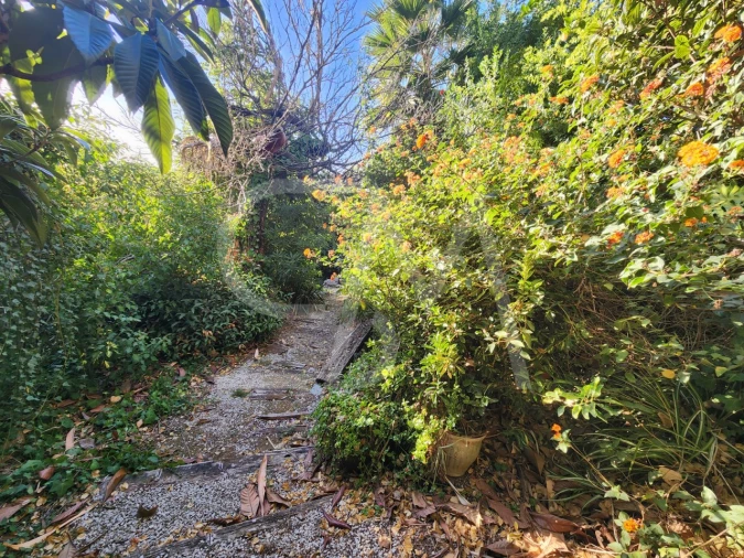 Terreno para Venda em Carcavelos e Parede Foto 10
