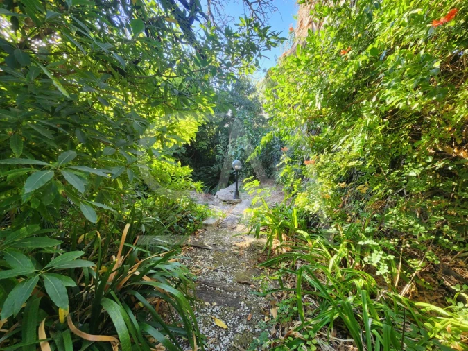 Terreno para Venda em Carcavelos e Parede Foto 11