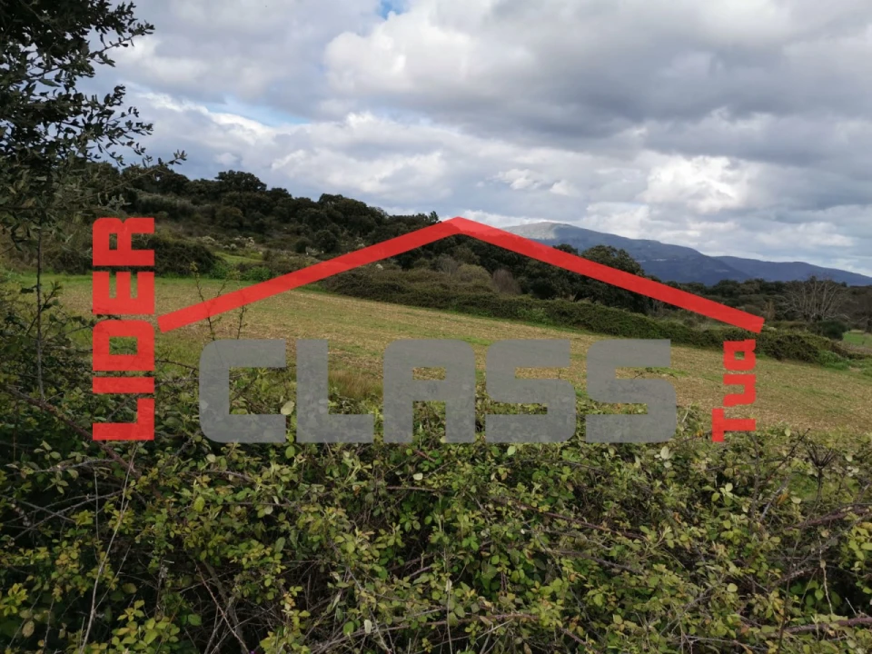 Terreno Agricola ou Rústico para Venda em Benlhevai Foto 4