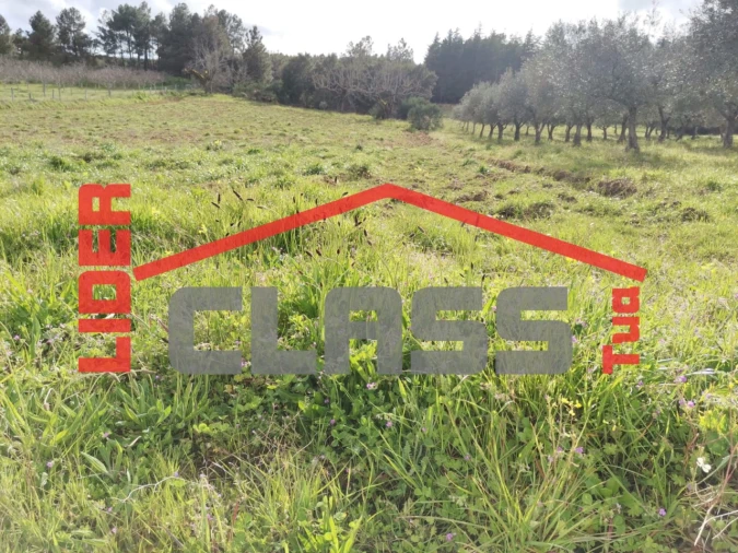 Terreno Agricola ou Rústico para Venda em Benlhevai