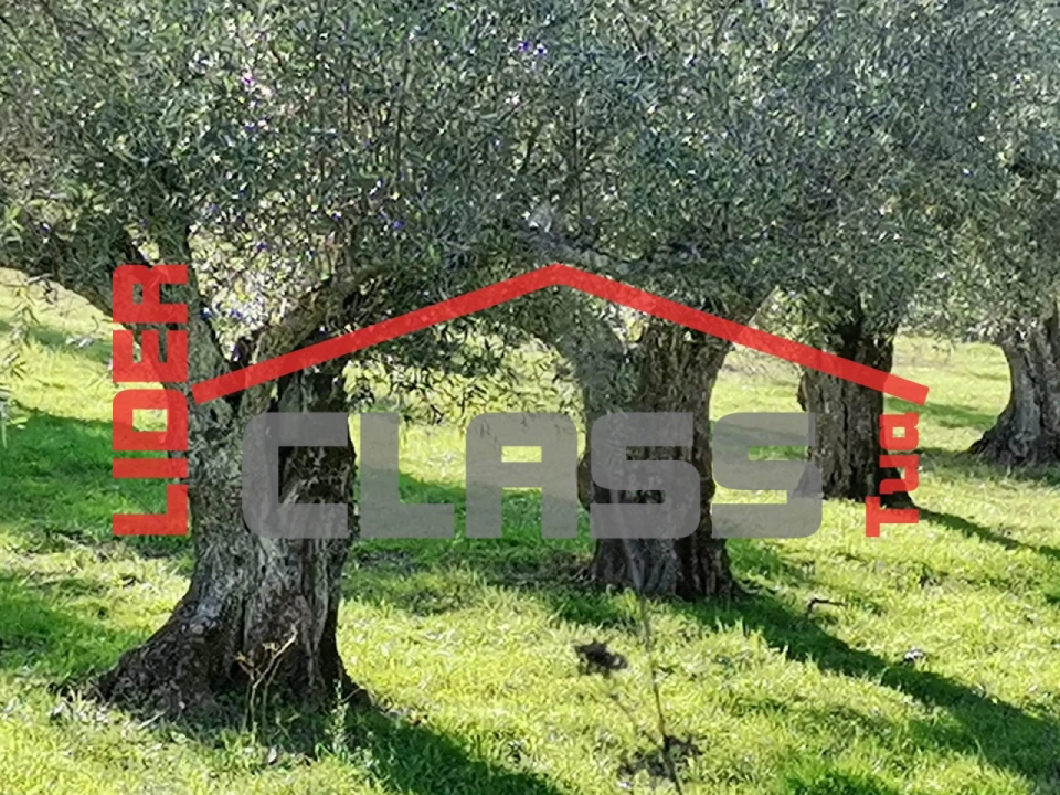 Terreno Agricola ou Rústico para Venda em Vale de Gouvinhas Foto 1