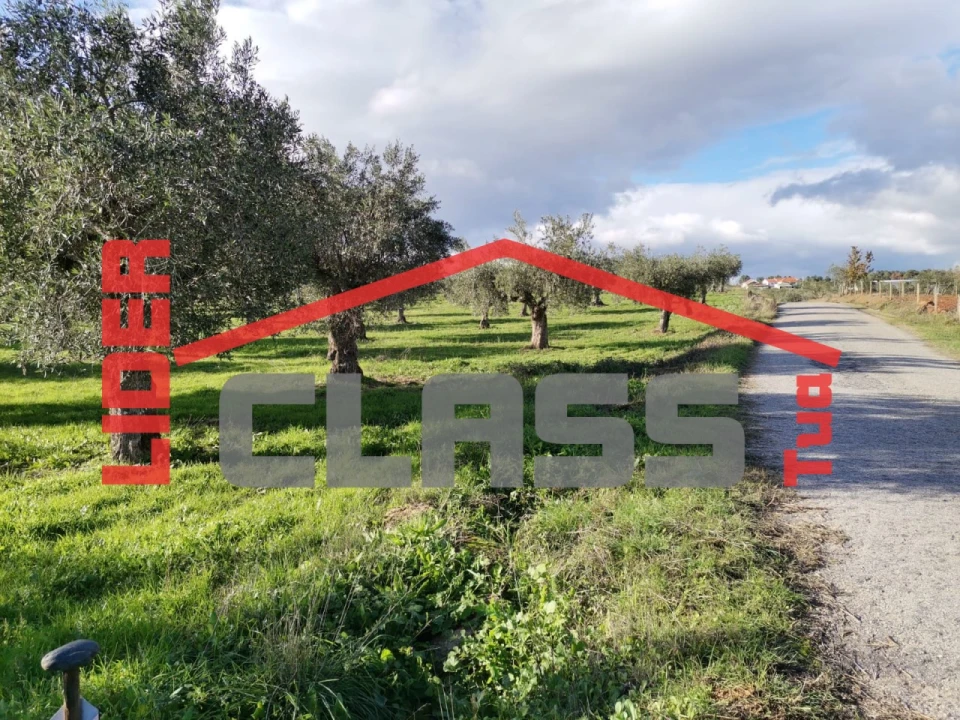 Terreno Agricola ou Rústico para Venda em Vale de Gouvinhas Foto 2