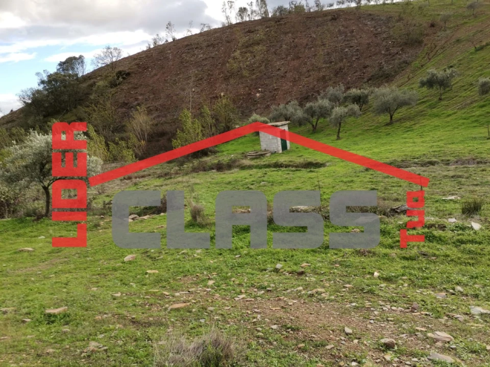 Terreno Agricola ou Rústico para Venda em Vale de Gouvinhas Foto 4