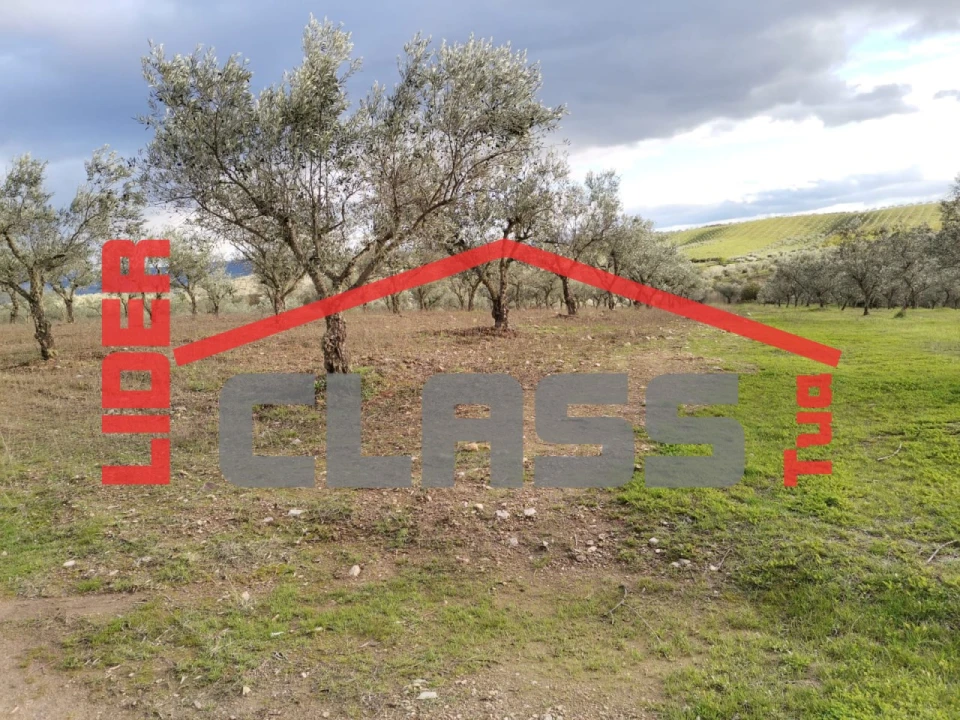 Terreno Agricola ou Rústico para Venda em Vale de Gouvinhas Foto 9