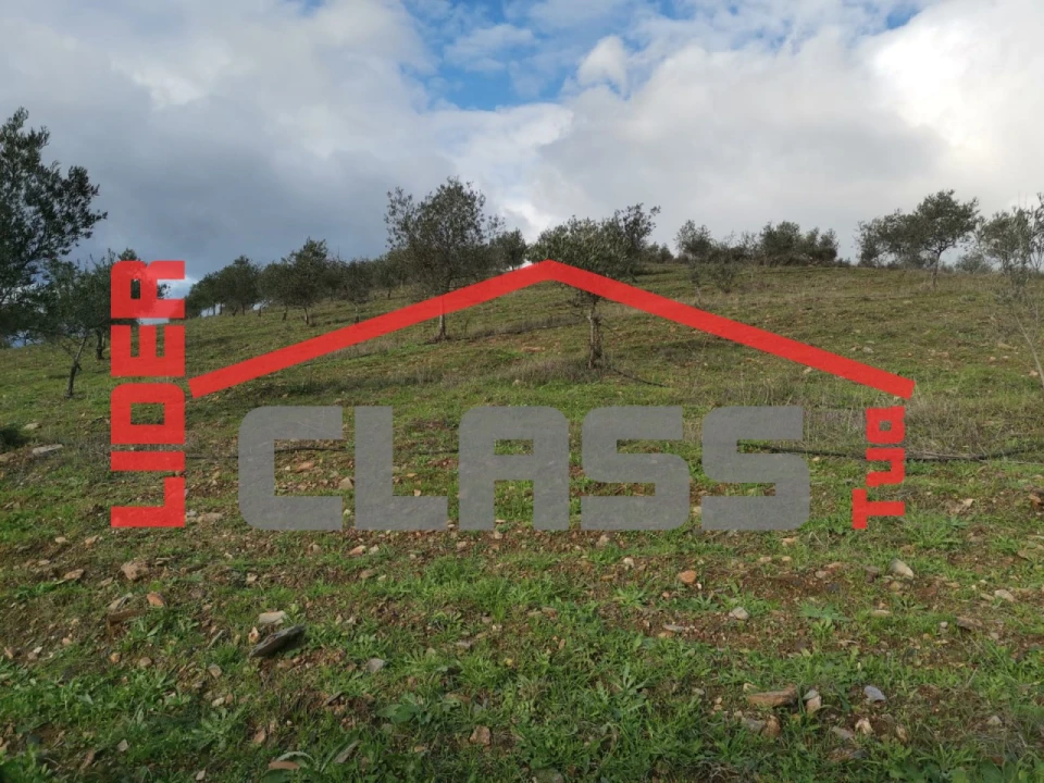 Terreno Agricola ou Rústico para Venda em Vale de Gouvinhas Foto 10