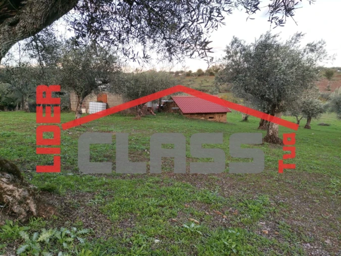 Terreno Agricola ou Rústico para Venda em Vale de Gouvinhas Foto 3