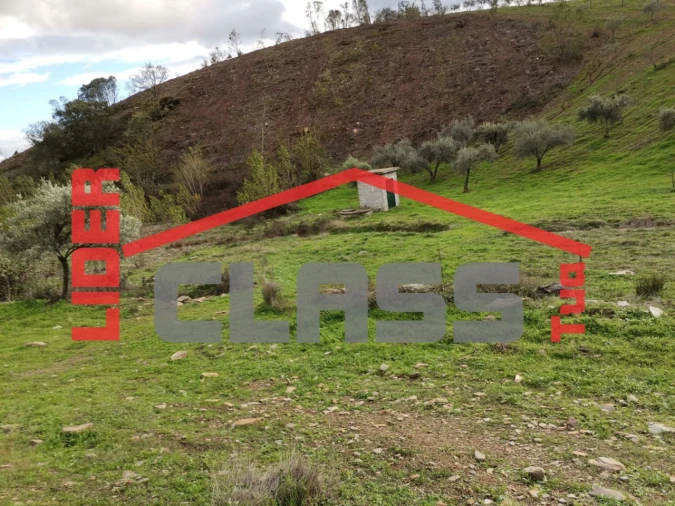 Terreno Agricola ou Rústico para Venda em Vale de Gouvinhas Foto 4