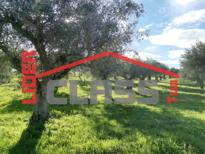 Terreno Agricola ou Rústico para Venda em Vale de Gouvinhas Foto 6