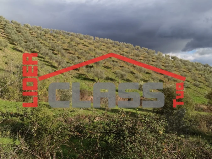 Terreno Agricola ou Rústico para Venda em Vale de Gouvinhas Foto 7