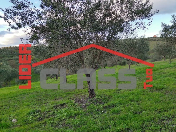 Terreno Agricola ou Rústico para Venda em Vale de Gouvinhas Foto 11