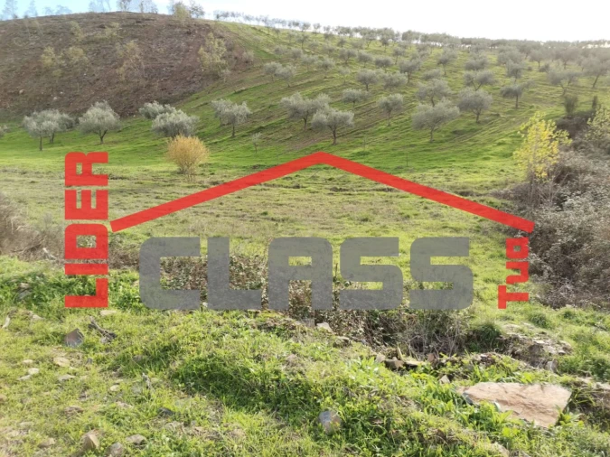 Terreno Agricola ou Rústico para Venda em Vale de Gouvinhas Foto 13