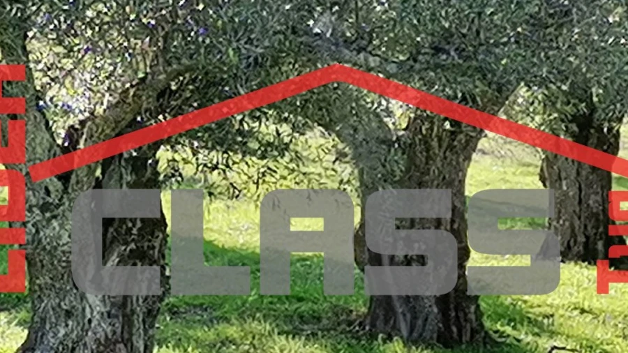 Terreno Agricola ou Rústico para Venda em Vale de Gouvinhas