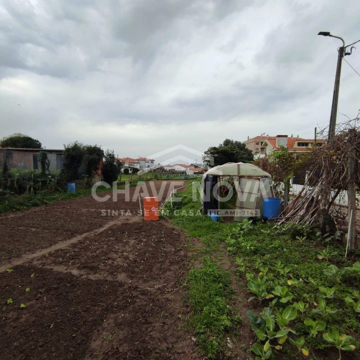 Terreno para Venda em Canelas Foto 3