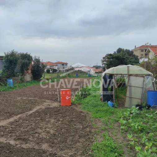 Terreno para Venda em Canelas Foto 7